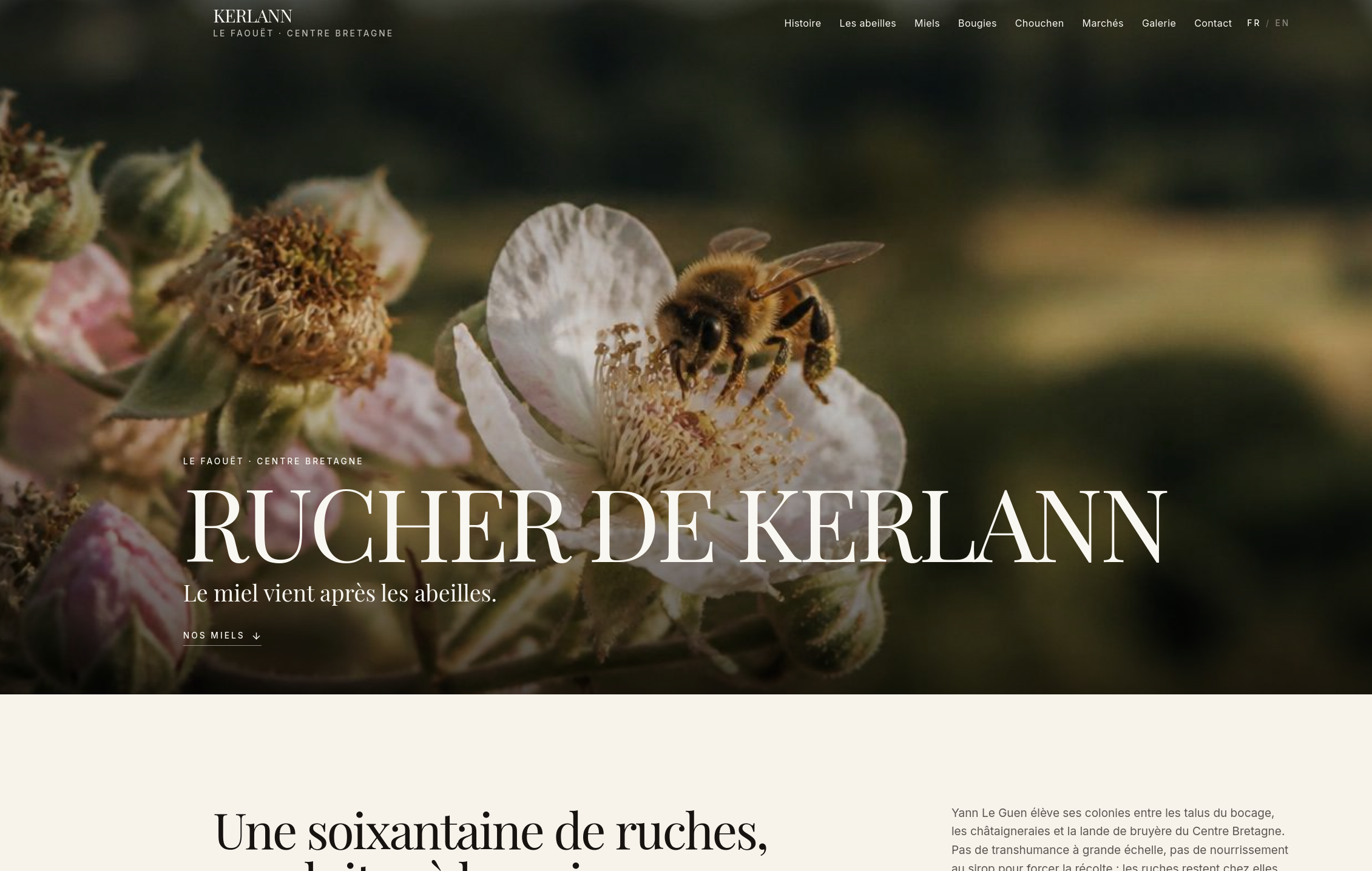 Apiculteur Bretagne — Demo Website for an Independent Beekeeper